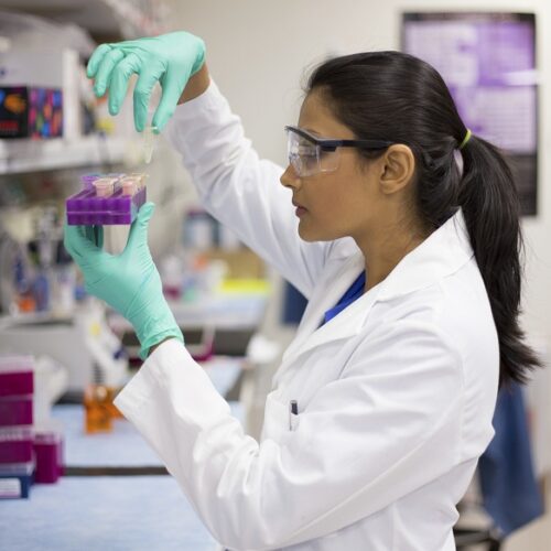 Future of Bioengineering with Gene Editing