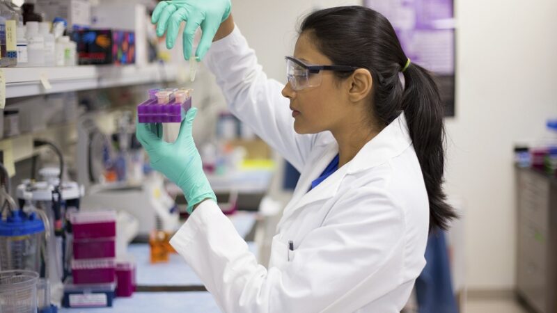 Dr. Curtis Cripe Communicates How to Shape the Future of Bioengineering with Gene Editing